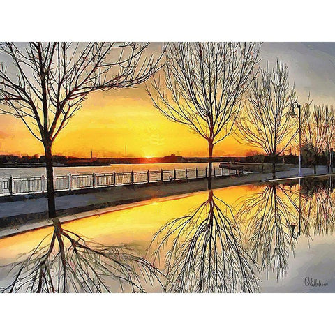 Mirrored Trees by Sunset I White Modern Wood Framed Art Print by Medeiros, Celito
