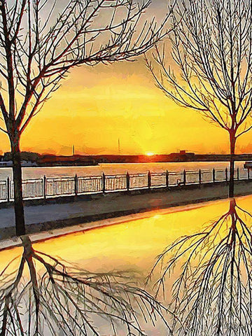 Mirrored Trees by Sunset II White Modern Wood Framed Art Print with Double Matting by Medeiros, Celito