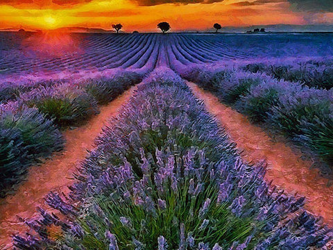 Lavender Field IV Black Ornate Wood Framed Art Print with Double Matting by Medeiros, Celito