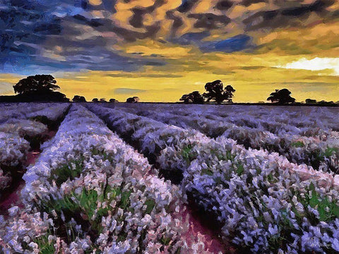 Lavender Field V Black Ornate Wood Framed Art Print with Double Matting by Medeiros, Celito