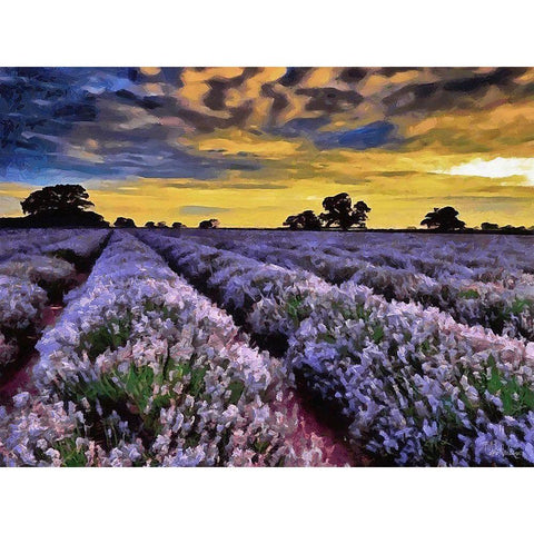 Lavender Field V Black Modern Wood Framed Art Print with Double Matting by Medeiros, Celito