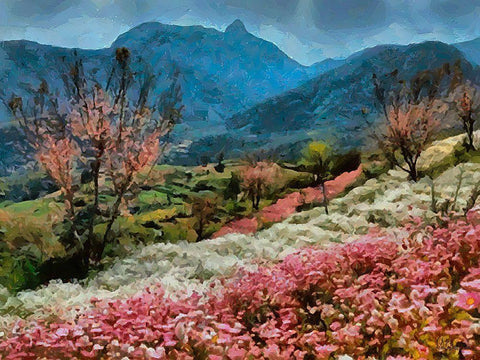 Flower Field I White Modern Wood Framed Art Print with Double Matting by Medeiros, Celito