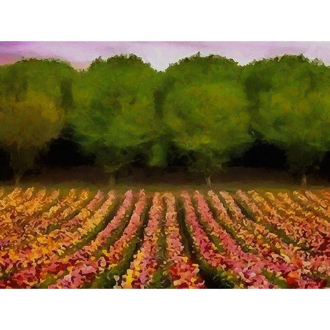 Flower Field II Black Modern Wood Framed Art Print with Double Matting by Medeiros, Celito