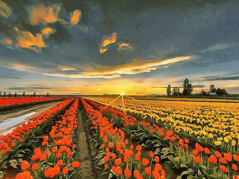 Tulip Field I Black Ornate Wood Framed Art Print with Double Matting by Medeiros, Celito