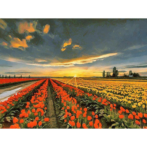 Tulip Field I White Modern Wood Framed Art Print by Medeiros, Celito