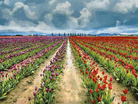 Tulip Field II Black Ornate Wood Framed Art Print with Double Matting by Medeiros, Celito