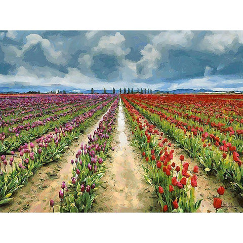 Tulip Field II Black Modern Wood Framed Art Print by Medeiros, Celito