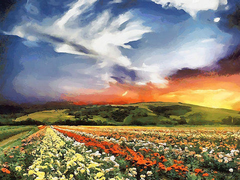 Tulip Field III White Modern Wood Framed Art Print with Double Matting by Medeiros, Celito