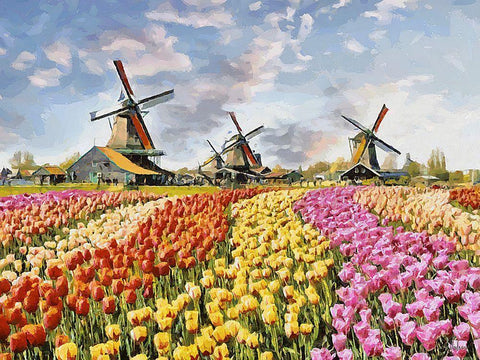 Tulip Field IV White Modern Wood Framed Art Print with Double Matting by Medeiros, Celito