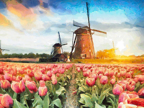 Tulip Field V Black Ornate Wood Framed Art Print with Double Matting by Medeiros, Celito
