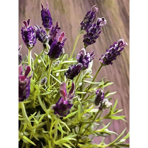 Purple Flower I Black Modern Wood Framed Art Print with Double Matting by Medeiros, Celito