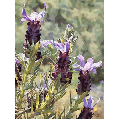 Purple Flower II White Modern Wood Framed Art Print by Medeiros, Celito