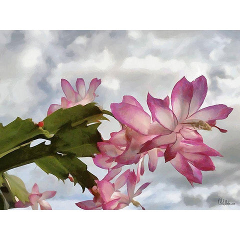 Cactus Flower II Black Modern Wood Framed Art Print with Double Matting by Medeiros, Celito