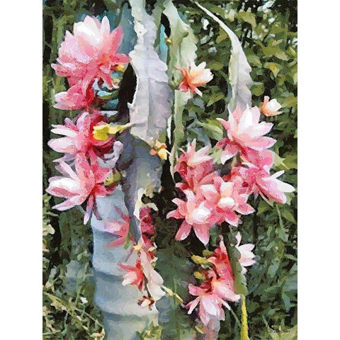 Cactus Flower V Black Modern Wood Framed Art Print with Double Matting by Medeiros, Celito