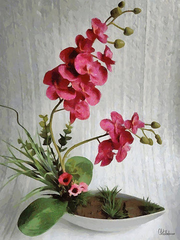 Orchids XI Black Ornate Wood Framed Art Print with Double Matting by Medeiros, Celito