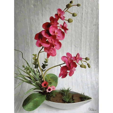 Orchids XI Black Modern Wood Framed Art Print by Medeiros, Celito