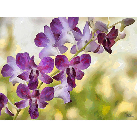 Orchids XII Black Modern Wood Framed Art Print by Medeiros, Celito