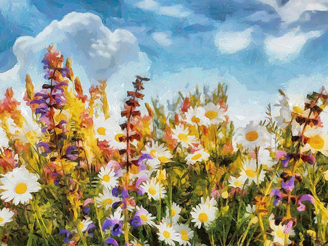 Field Flowers I Black Ornate Wood Framed Art Print with Double Matting by Medeiros, Celito