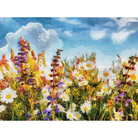 Field Flowers I Black Modern Wood Framed Art Print by Medeiros, Celito