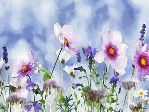 Field Flowers II White Modern Wood Framed Art Print with Double Matting by Medeiros, Celito