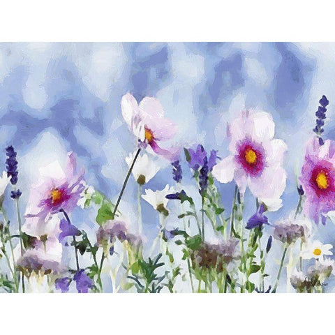 Field Flowers II Black Modern Wood Framed Art Print by Medeiros, Celito