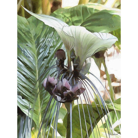 Orchids XV Black Modern Wood Framed Art Print by Medeiros, Celito