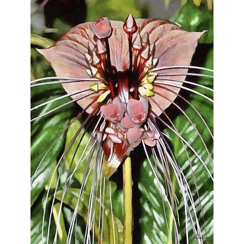 Orchids XVI Black Modern Wood Framed Art Print with Double Matting by Medeiros, Celito