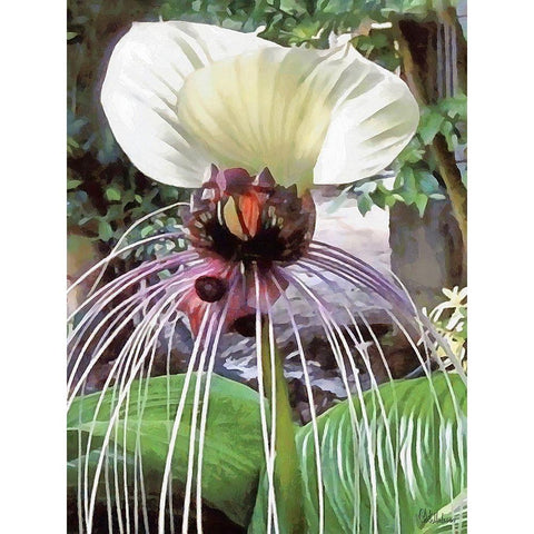 Orchids XVII Black Modern Wood Framed Art Print by Medeiros, Celito