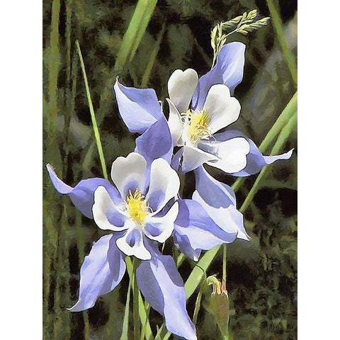 Orchids XVIII Black Modern Wood Framed Art Print with Double Matting by Medeiros, Celito
