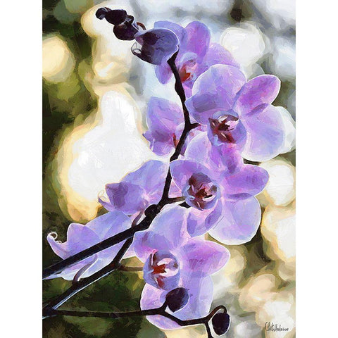 Orchids XIX Black Modern Wood Framed Art Print by Medeiros, Celito