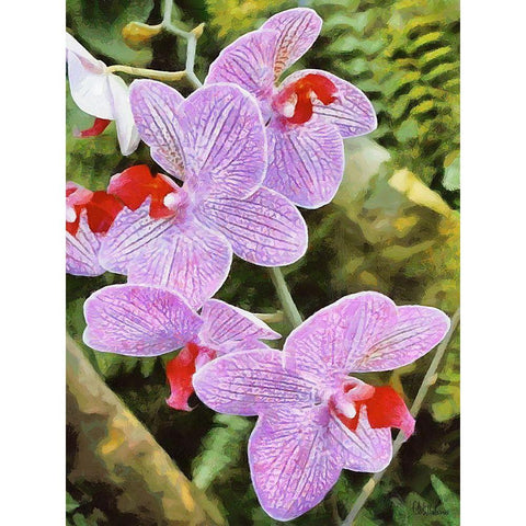 Orchids XX Gold Ornate Wood Framed Art Print with Double Matting by Medeiros, Celito