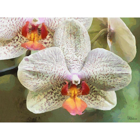 Orchids XXII Gold Ornate Wood Framed Art Print with Double Matting by Medeiros, Celito