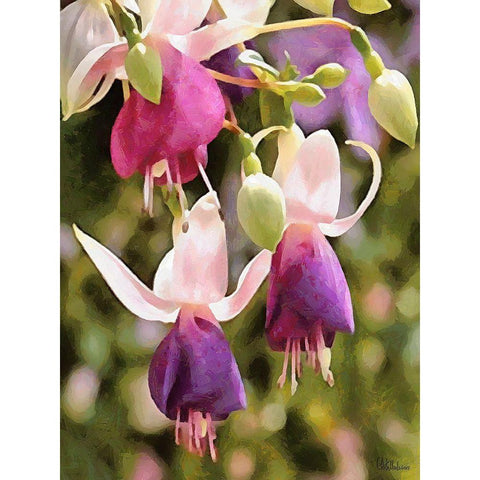 Orchids XXIII White Modern Wood Framed Art Print by Medeiros, Celito