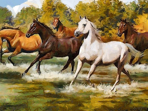 Running Horses in Water White Modern Wood Framed Art Print with Double Matting by Medeiros, Celito