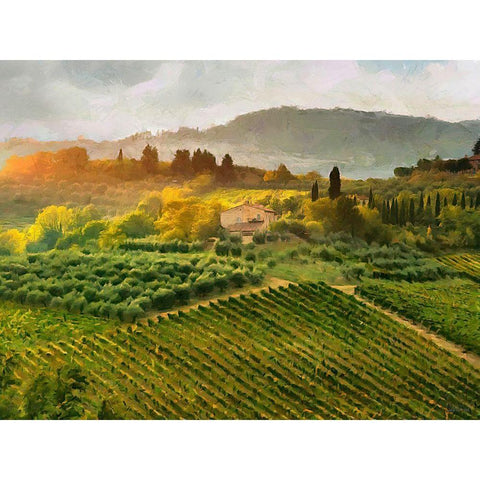 Tuscany Vineyeard Black Modern Wood Framed Art Print with Double Matting by Medeiros, Celito