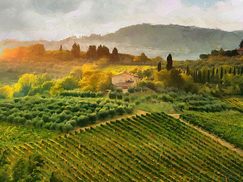 Tuscany Vineyeard White Modern Wood Framed Art Print with Double Matting by Medeiros, Celito