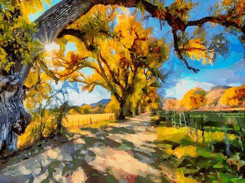 Road Under Big Trees Black Ornate Wood Framed Art Print with Double Matting by Medeiros, Celito