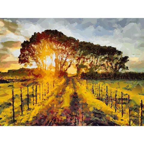 Nice Sunset Black Modern Wood Framed Art Print with Double Matting by Medeiros, Celito