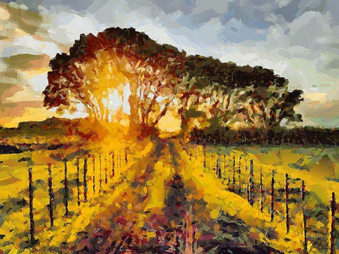Nice Sunset White Modern Wood Framed Art Print with Double Matting by Medeiros, Celito