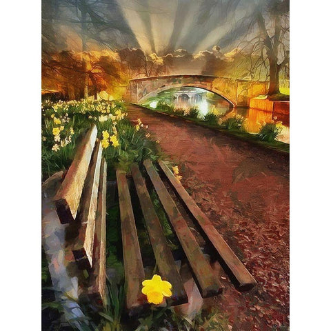 Bench by the Bridge Black Modern Wood Framed Art Print with Double Matting by Medeiros, Celito