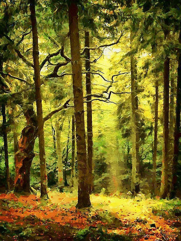 Forrest White Modern Wood Framed Art Print with Double Matting by Medeiros, Celito