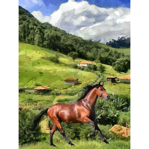 Running Horse in Countryside Black Modern Wood Framed Art Print with Double Matting by Medeiros, Celito