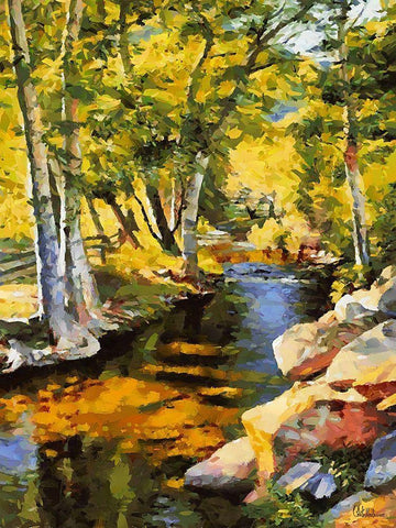 Creek with Rocks White Modern Wood Framed Art Print with Double Matting by Medeiros, Celito