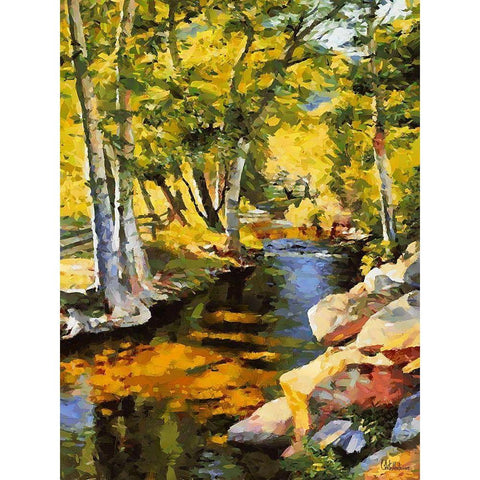 Creek with Rocks Black Modern Wood Framed Art Print with Double Matting by Medeiros, Celito