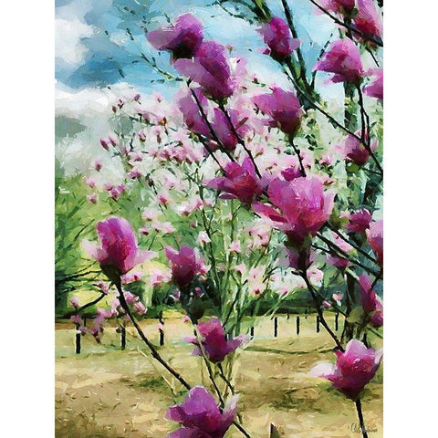 Magnolia Tree White Modern Wood Framed Art Print by Medeiros, Celito