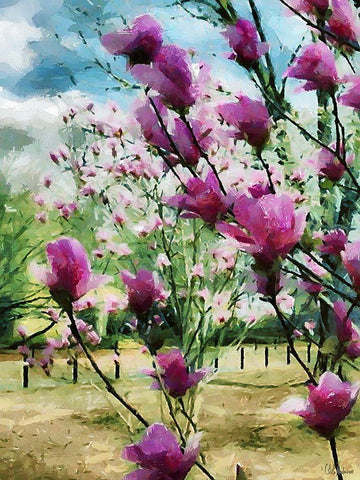 Magnolia Tree Black Ornate Wood Framed Art Print with Double Matting by Medeiros, Celito