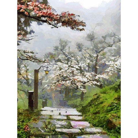 Path in Garden wtih White Trees Black Modern Wood Framed Art Print with Double Matting by Medeiros, Celito