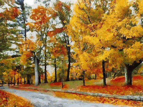 Autumn Colours Black Ornate Wood Framed Art Print with Double Matting by Medeiros, Celito