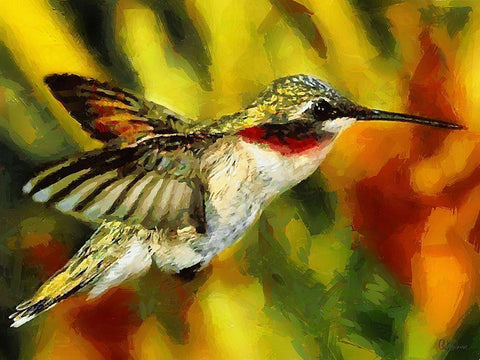 Hummingbird Black Ornate Wood Framed Art Print with Double Matting by Medeiros, Celito