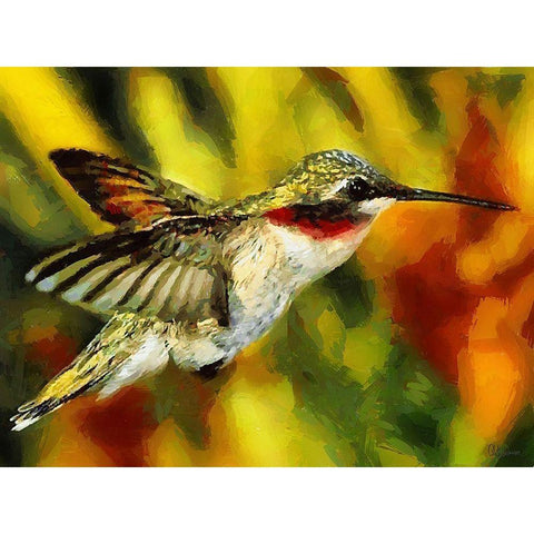 Hummingbird White Modern Wood Framed Art Print by Medeiros, Celito